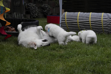 Coralie mit Elroy & Enouk Coralie